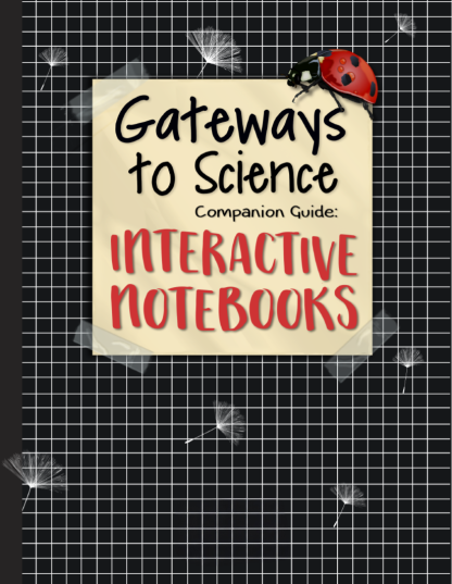 Interactive Notebooks