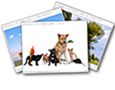 Reading by Design Volume 0: Getting Ready for Reading by Design–Picture Cards Item