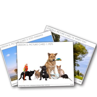 Reading by Design Volume 0: Getting Ready for Reading by Design–Picture Cards Item