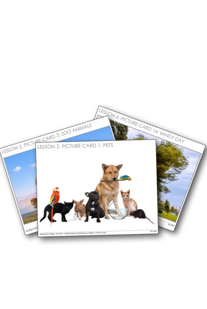 Reading by Design Volume 0: Getting Ready for Reading by Design–Picture Cards Item